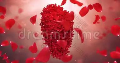 旋转红玫瑰花瓣在可爱的心形背景循环4k